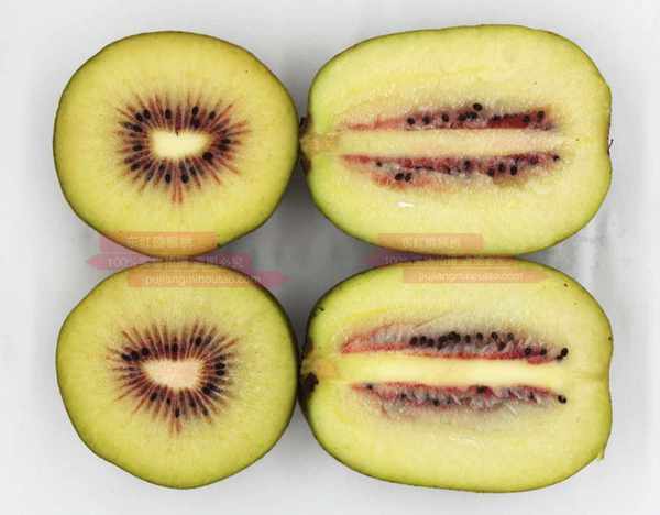 Redkiwifruit
