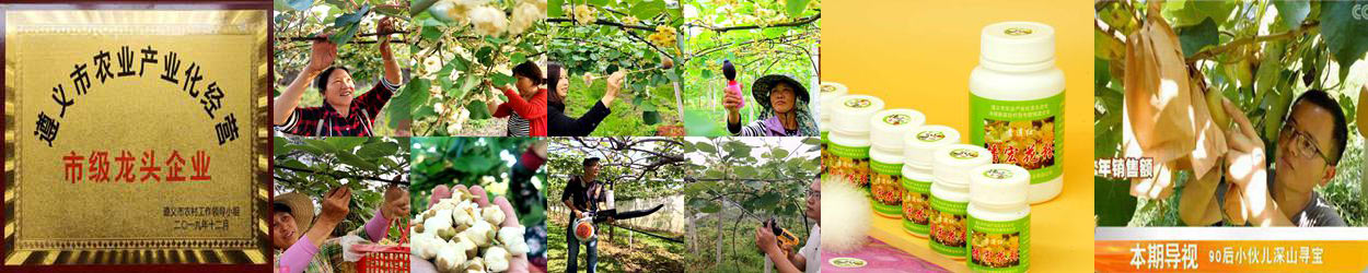 中科院湖北武汉植物园