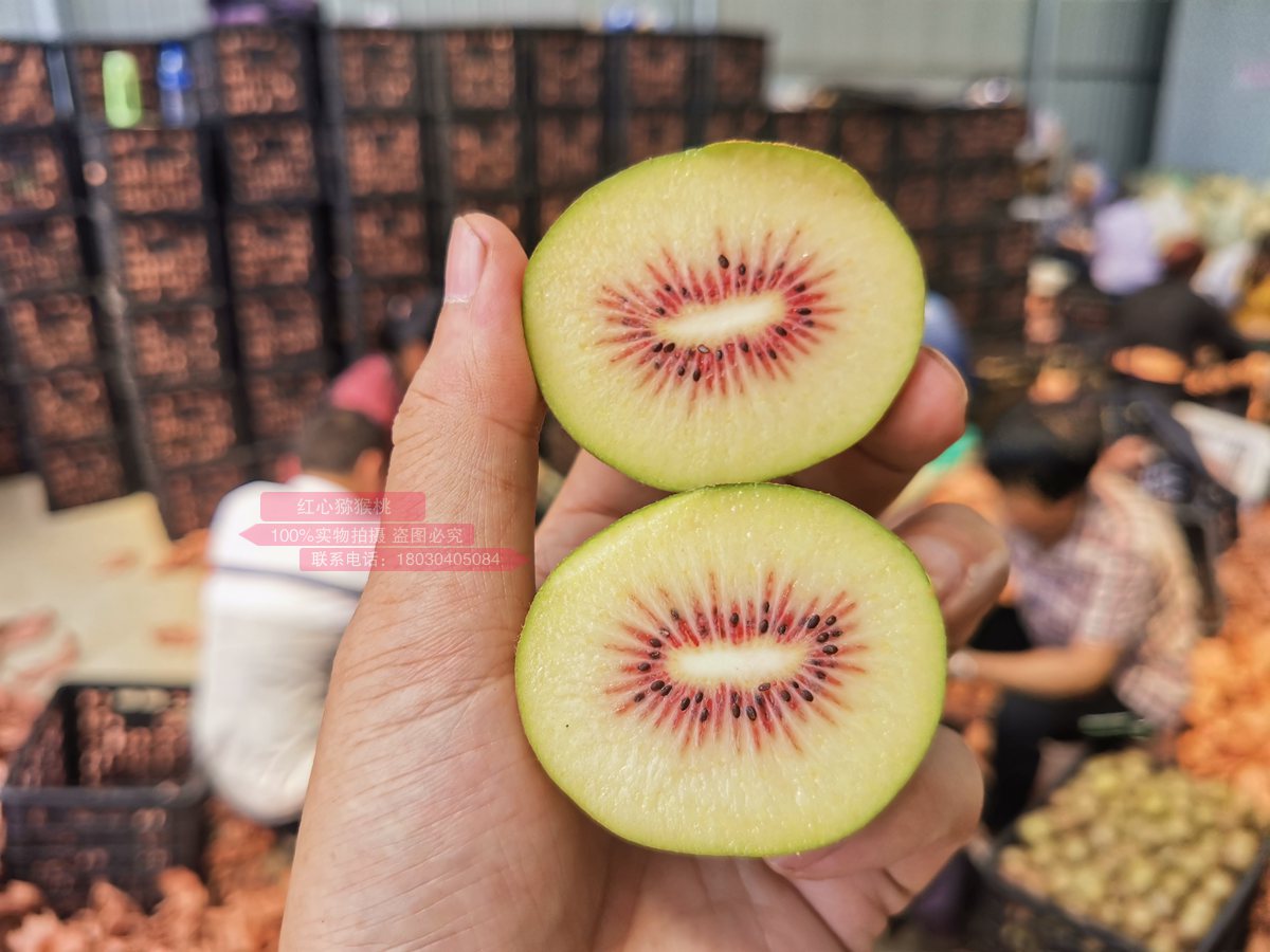 西南边陲的蒲江县，借助猕猴桃把美味送到亿万国人的餐桌