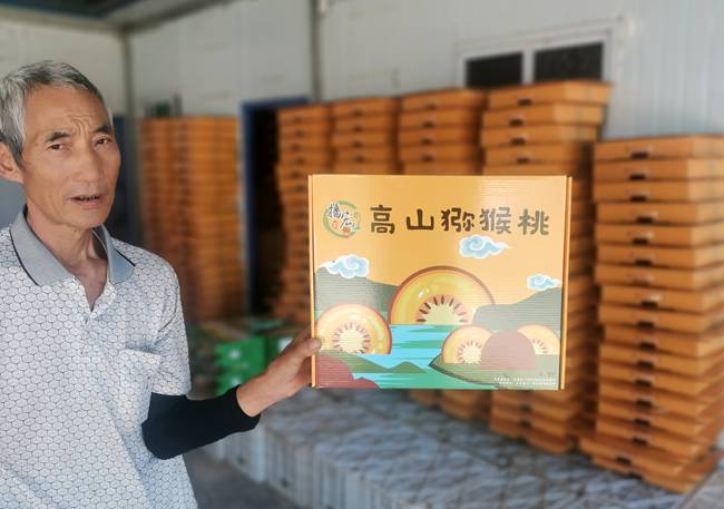 抖音銷售陜西翠香獼猴桃百萬箱