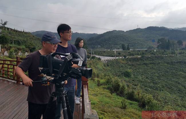 记者采访播州区三岔镇猕猴桃果园