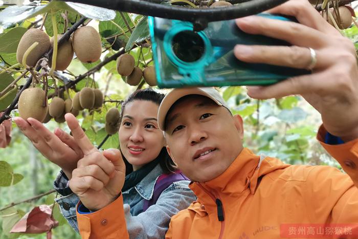 四川雅安天全縣鼓勵農戶大力發展獼猴桃種植業