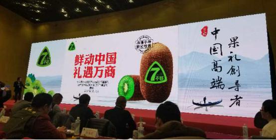 黄菊芸是贵州修文猕猴桃龙头企业圣地有机农业有限公司的销售负责人