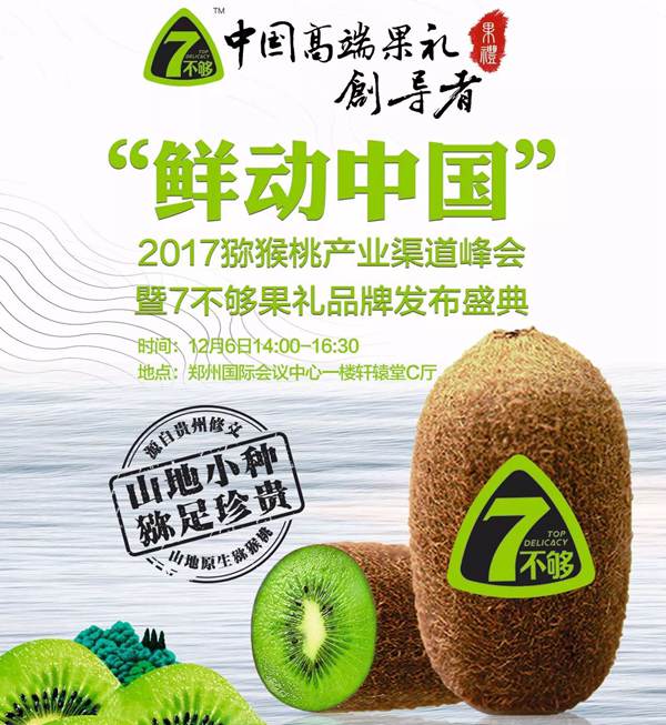 黄菊芸是贵州修文猕猴桃龙头企业圣地有机农业有限公司的销售负责人