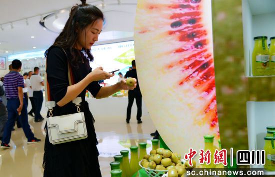 獼猴桃酒是四川成都都江堰青城山的特產