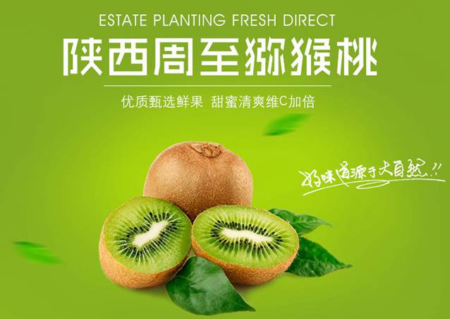 青年猕猴桃专家高昊昱到陕西眉县教授猕猴桃种植技术