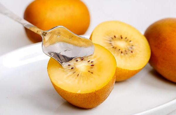 阳光金果猕猴桃是新西兰水果出口增长的最大功臣