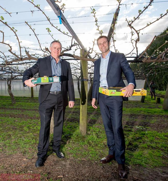 丹·馬斐森立即接任新西蘭佳沛新首席執行官，擴大佳沛全球獼猴桃全年供應業務為當務之急