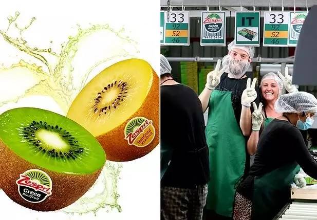 探尋新西蘭Zespri佳沛品牌歷史，挖掘獼猴桃健康生活方式