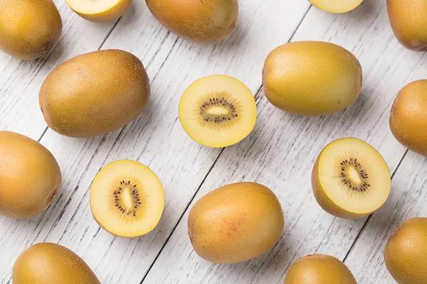 新西兰佳沛扩大在欧洲的种植面积 保证阳光金果全年供应