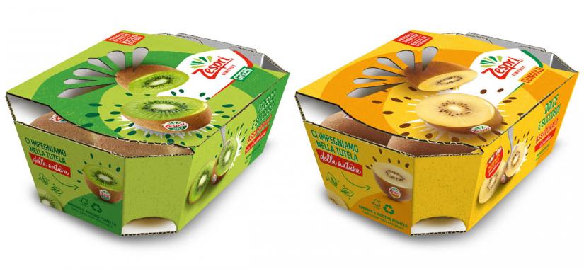Kiwifruit packing box