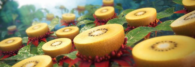 新西兰佳沛三度亮相中国国际进口博览会 提供高品质的阳光金果