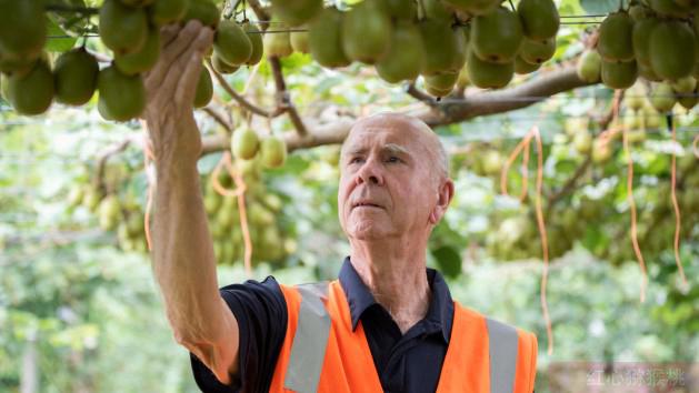 丹·馬斐森立即接任新西蘭佳沛新首席執行官，擴大佳沛全球獼猴桃全年供應業務為當務之急