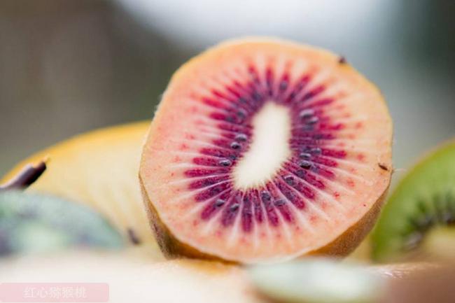 佳沛创下销售额8亿新西兰元的里程碑，明年上市新品种红奇异果——专访佳沛首席执行官