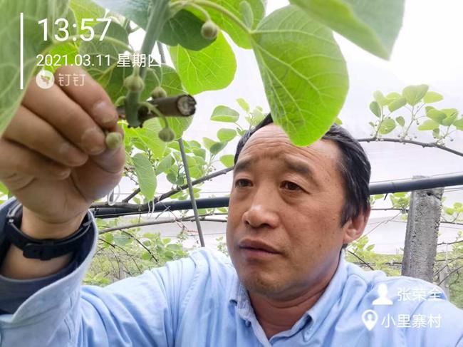 贵州六盘水水城猕猴桃技术培训预通知