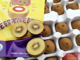 陕西眉县多处农户给猕猴桃用膨大剂 称不用难销售
