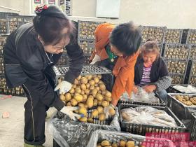 湖北花垣县的金梅猕猴桃电商扶贫卖的好 专门讲解十八洞猕猴桃种植技术的优势