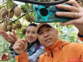 四川雅安天全县鼓励农户大力发展猕猴桃种植业
