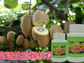 贵州省汇川区高坪镇清溪村今年初产红心猕猴桃