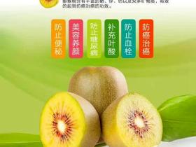 贵州省六盘水市尝试引进水杨桃苗改良猕猴桃品种