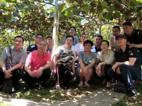 贵州中康猕猴桃园 获得2019年度贵州最美猕猴桃园称号