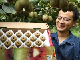 返乡“猕猴桃硕士”杨刚：立志中出中国最好的猕猴桃