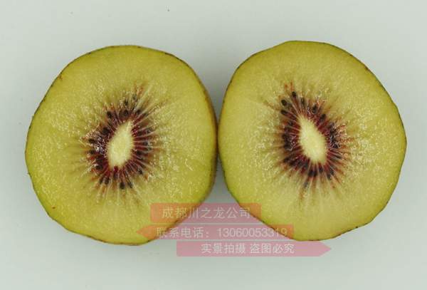 redkiwifruit