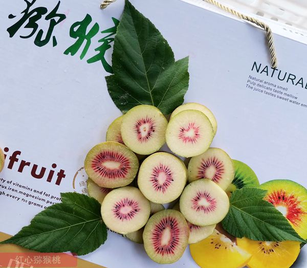 redkiwifruit