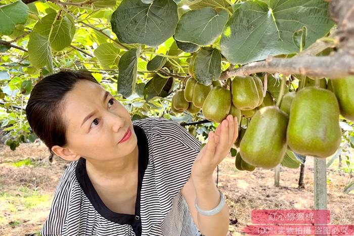 redkiwifruit