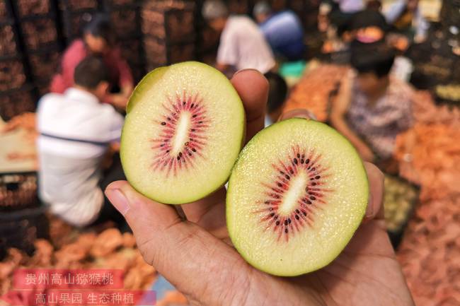 red kiwi tree