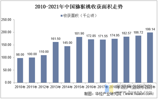 新西兰奇异果