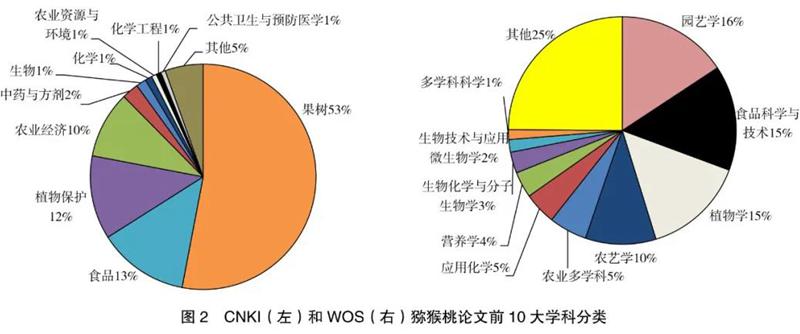 四川猕猴桃采摘