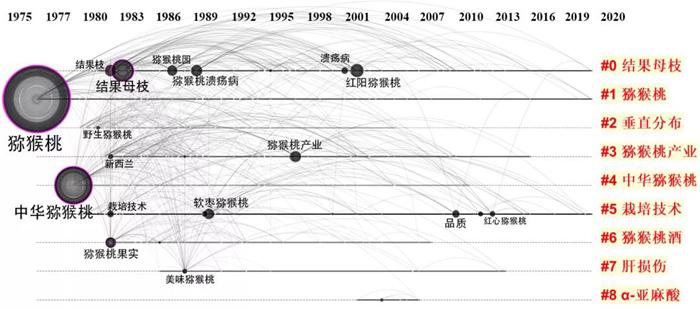 四川猕猴桃采摘