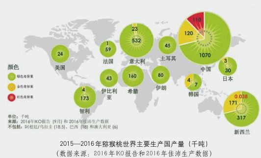 新西兰奇异果