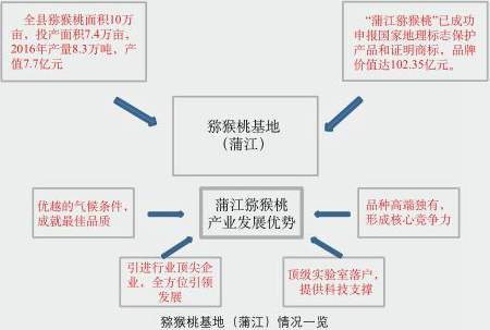 四川猕猴桃