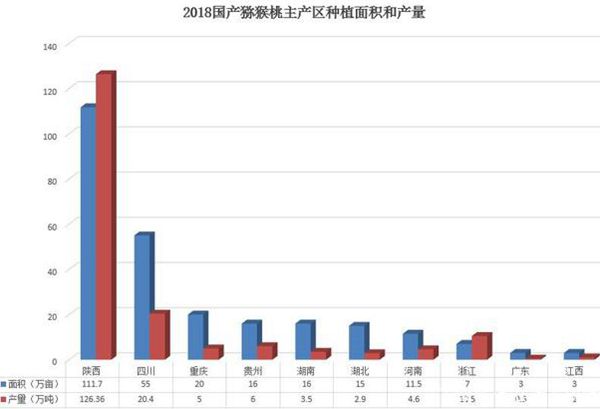 四川猕猴桃采摘