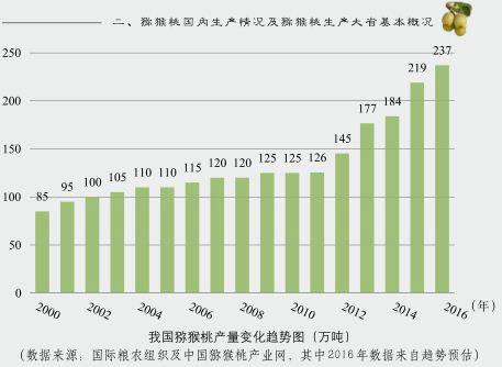 猕猴桃果园陆续进入丰产期