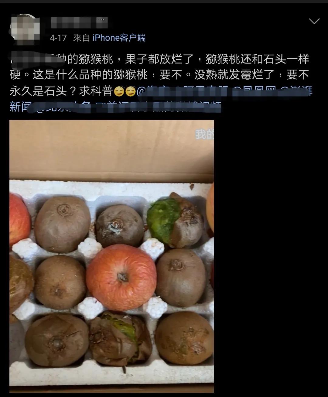 红心猕猴桃网上销售