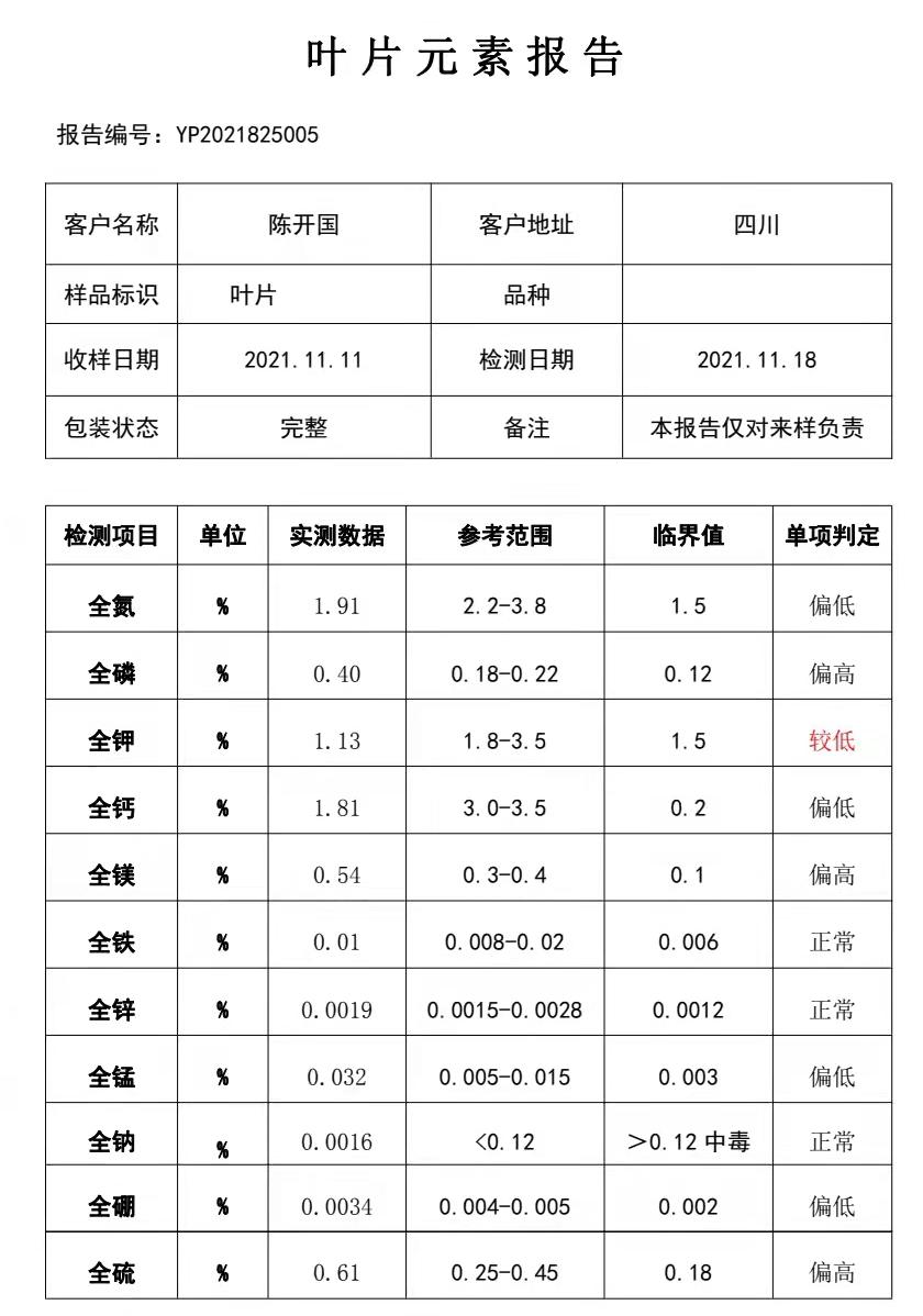 猕猴桃基地春季