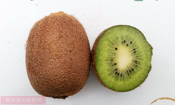 瑞玉猕猴桃多少钱一斤