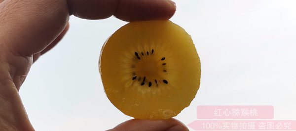 新西兰阳光金果G3猕猴桃