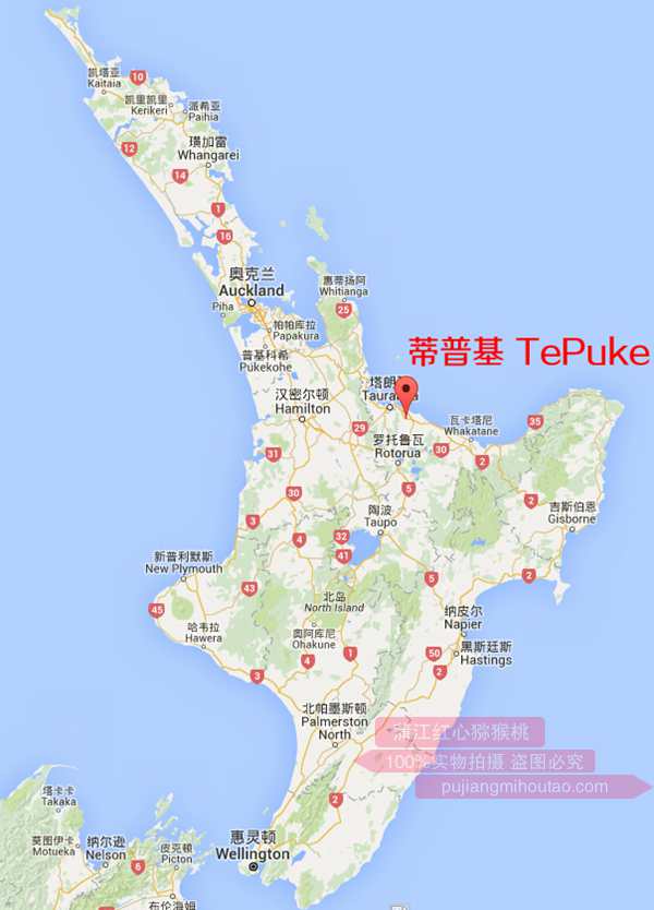 新西兰主要的猕猴桃包装公司seeka