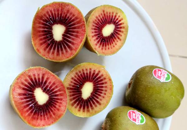 zespri redkiwi