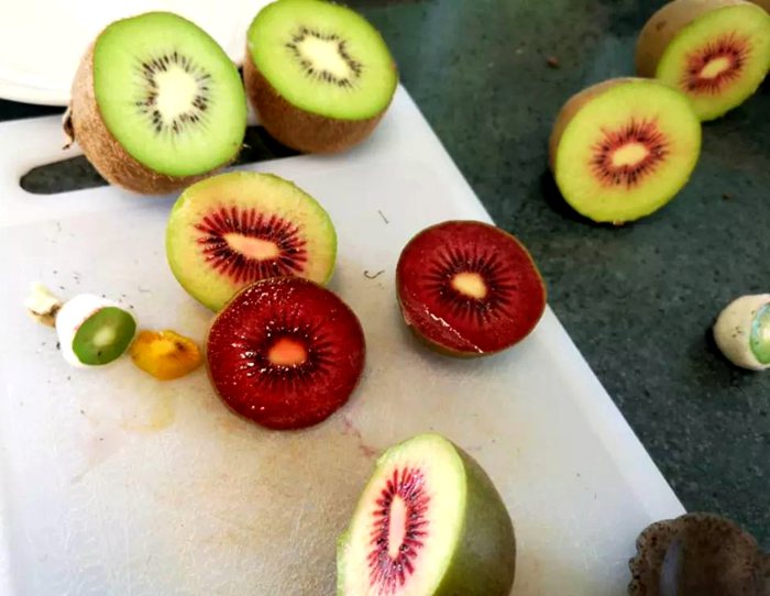 New zealand zespri Rubyred kiwifruit