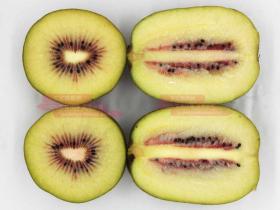 Generations of building kiwifruit orchards 几代人建立猕猴桃果园