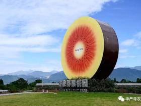 成都国际猕猴桃节在都江堰市开幕