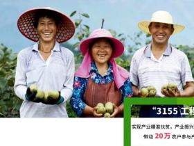 贵州六盘水人均两亩红心猕猴桃致富了