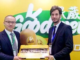 意大利Jingold公司的“金桃”猕猴桃在中国种植战略已初见成效 果葳猕猴桃试销台湾