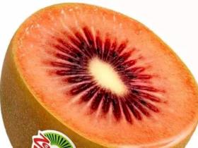 新西兰佳沛红果商业化种植，今年中国消费者也可以品尝到“佳沛红果”了