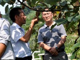 猕香苑公司成为修文乃至贵州第一家真正意义上的央视上榜猕猴桃企业